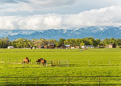 Two horse couples interacting in rural farm with mountains and clouds in Montana